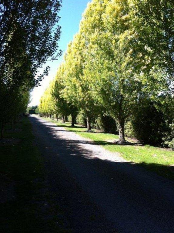 The Meadows Villa Christchurch Extérieur photo
